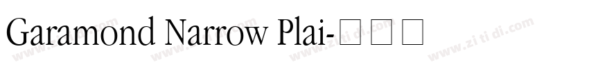 Garamond Narrow Plai字体转换